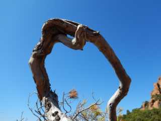 DSCN0240.JPG