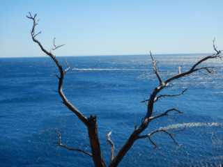 DSCN0246.JPG