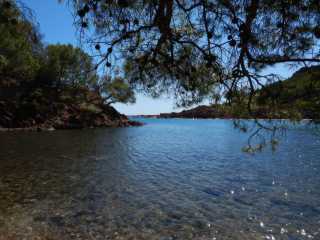 DSCN0253.JPG