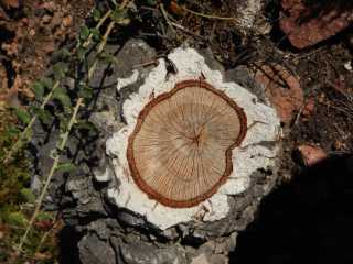 DSCN0277.JPG