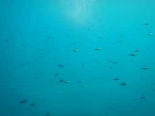 DSCN0338.JPG