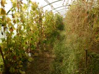 DSCN0395.JPG