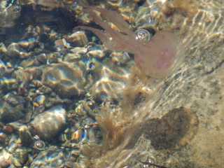 DSCN0418.JPG
