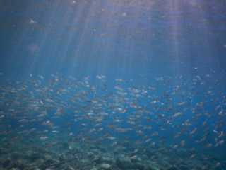DSCN0449.JPG