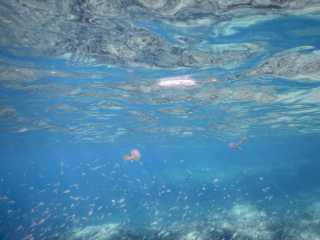 DSCN0453.JPG