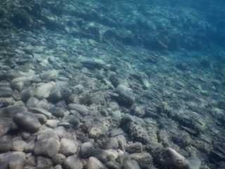 DSCN0454.JPG