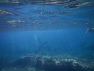 DSCN0482.JPG