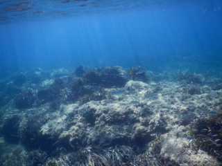 DSCN0496.JPG