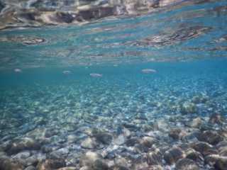 DSCN0507.JPG