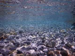 DSCN0509.JPG