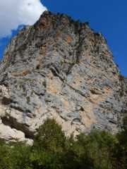 DSCN0545.JPG