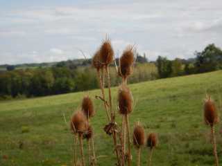 DSCN0571.JPG