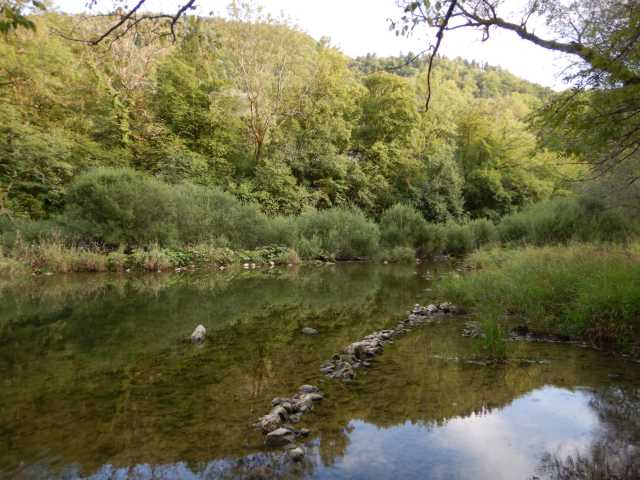 DSCN0017.JPG