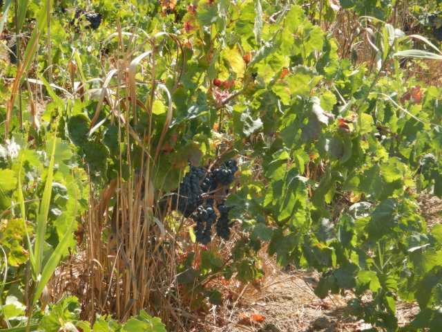 DSCN0044.JPG