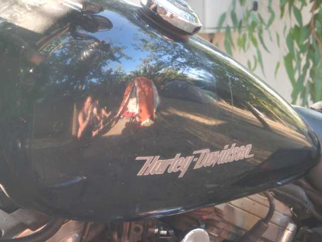 DSCN0070.JPG