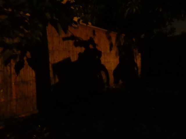 DSCN0079.JPG