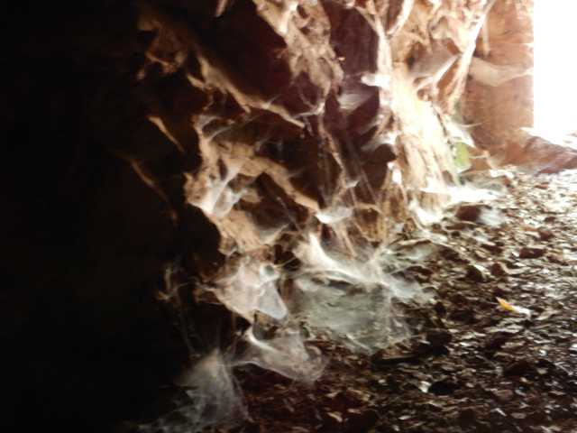 DSCN0218.JPG