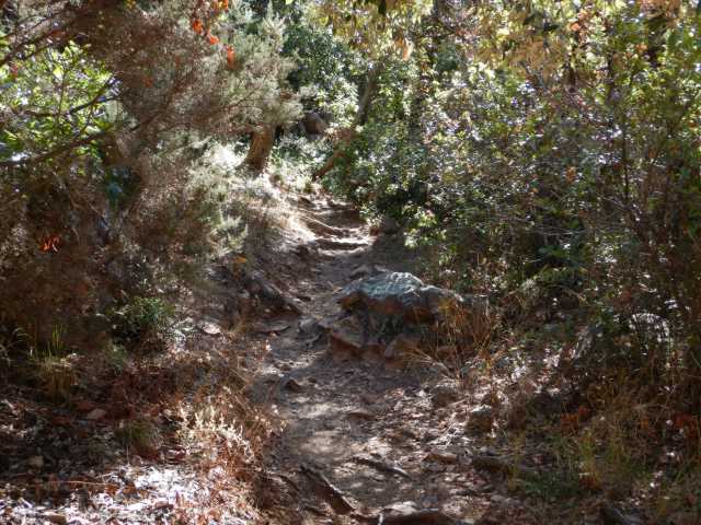 DSCN0220.JPG