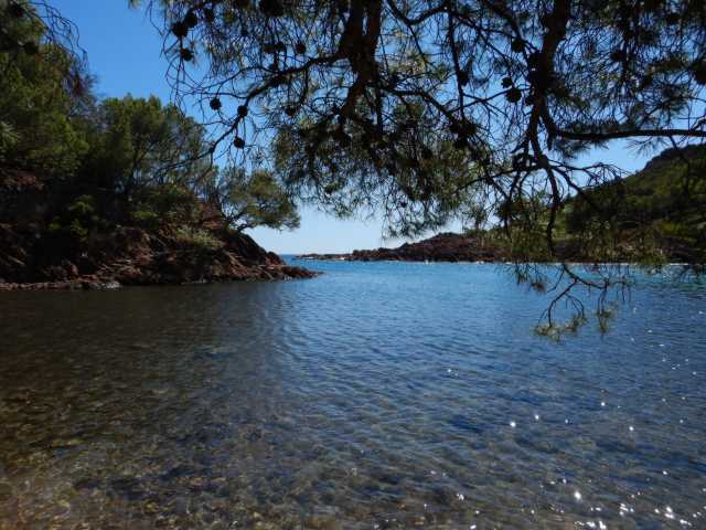 DSCN0253.JPG