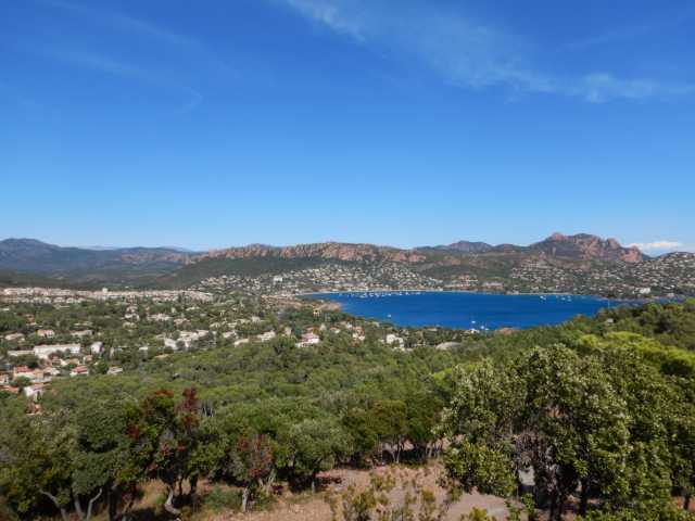 DSCN0273.JPG