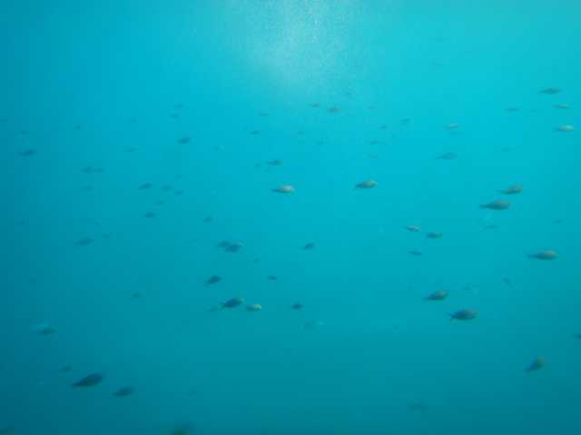 DSCN0338.JPG