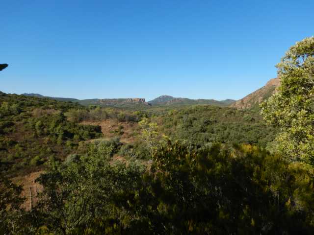 DSCN0400.JPG