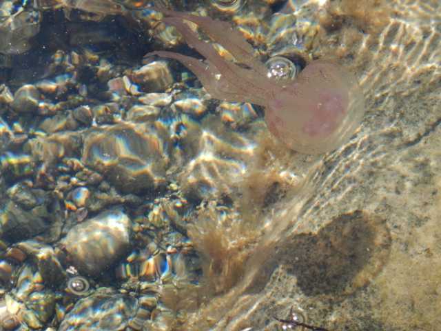 DSCN0418.JPG