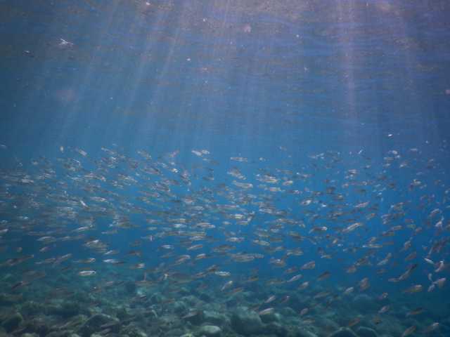DSCN0449.JPG