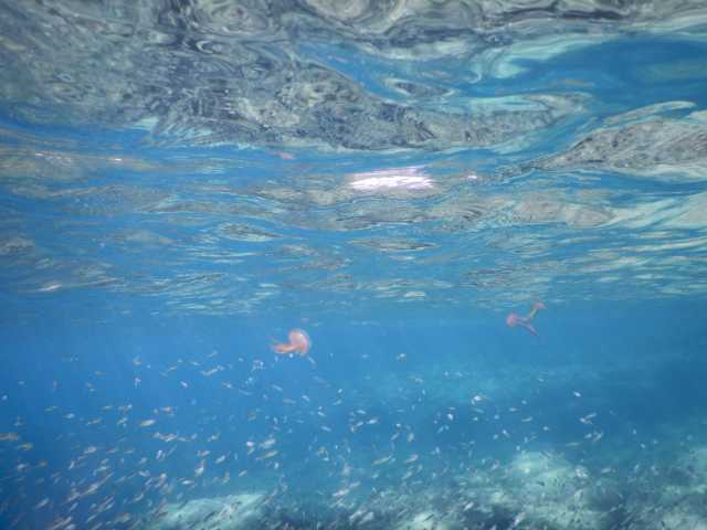DSCN0453.JPG