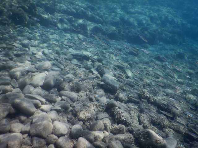 DSCN0454.JPG
