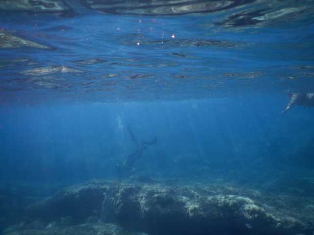 DSCN0482.JPG