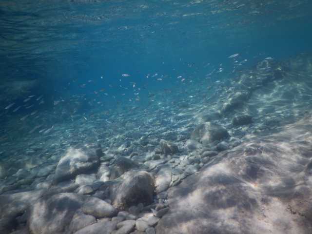 DSCN0489.JPG