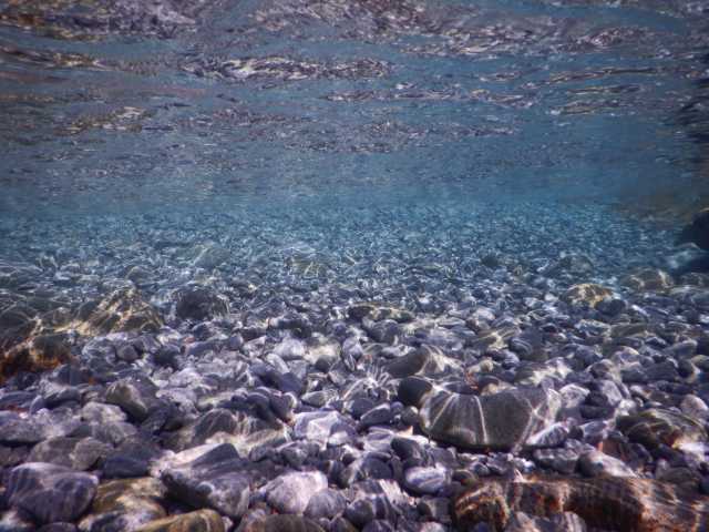 DSCN0509.JPG