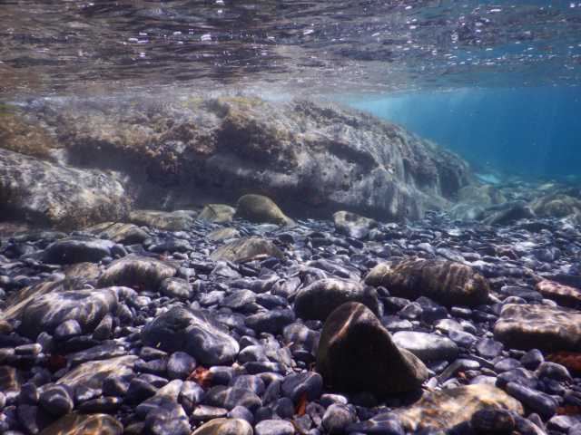 DSCN0512.JPG
