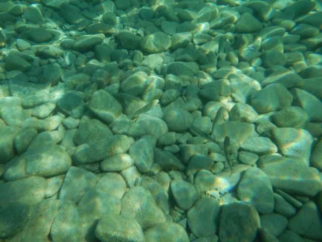 DSCN0532.JPG