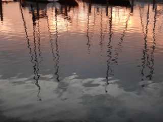 DSCN0690.JPG