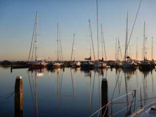 DSCN0707.JPG