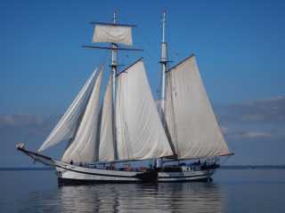 DSCN0731.JPG