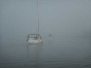 DSCN0819.JPG