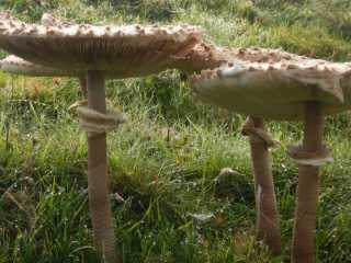 DSCN0862.JPG