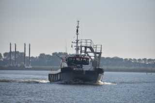 DSC_0523.JPG