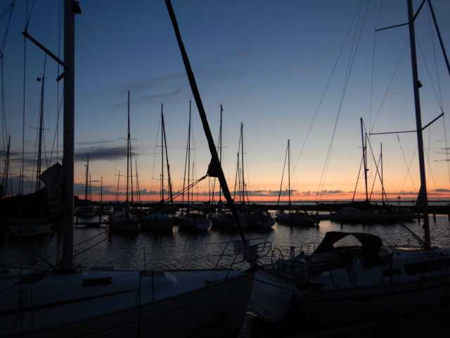 DSCN0704.JPG