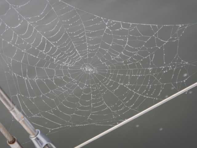 DSCN0830.JPG