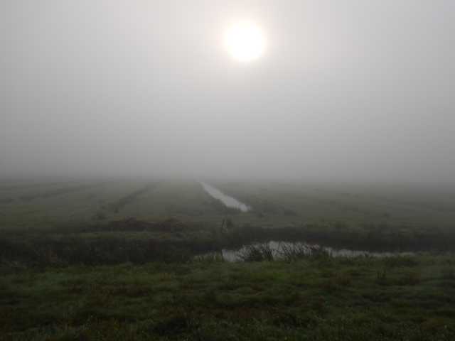 DSCN0838.JPG