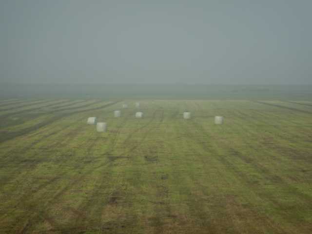 DSCN0852.JPG
