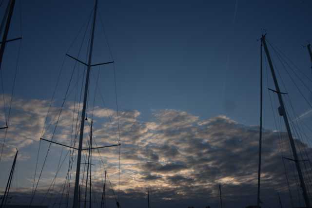 DSC_0508.JPG