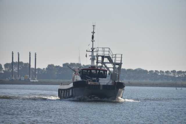 DSC_0523.JPG