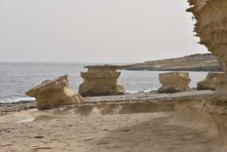 DSC_1593.JPG