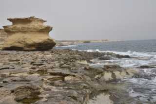 DSC_1599.JPG