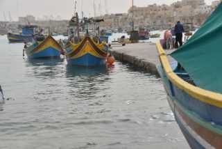 DSC_1644.JPG